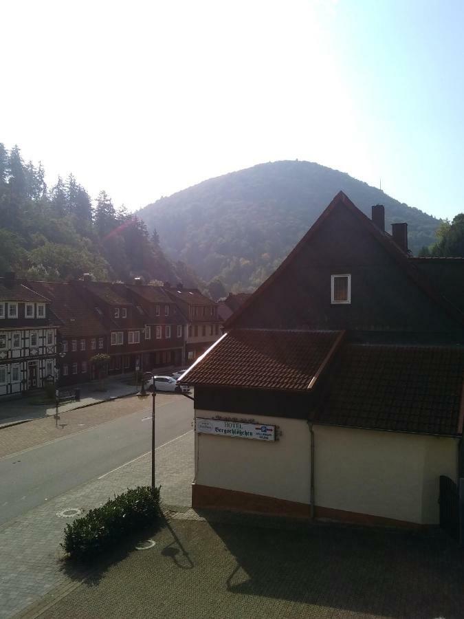 Hotel Bergschlosschen Zorge Exterior photo